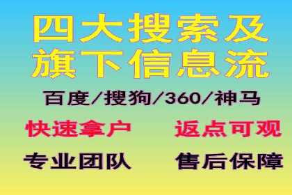 金融行业SEM服务的创新应用与效果